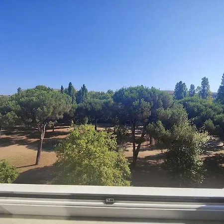 Culla Di Diego Box Auto, Sospesi Nel Cielo! Daire Roma