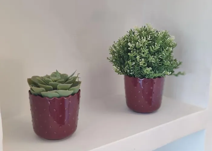 Culla Di Diego Box Auto, Sospesi Nel Cielo! Apartment